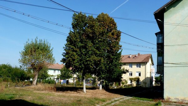 Viktoriastadt im Jahr 2011