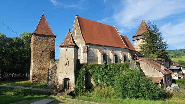 Waldhtten im Jahr 2022