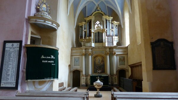 Waldhtten im Jahr 2017