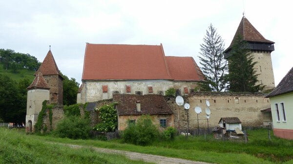 Waldhtten im Jahr 2017