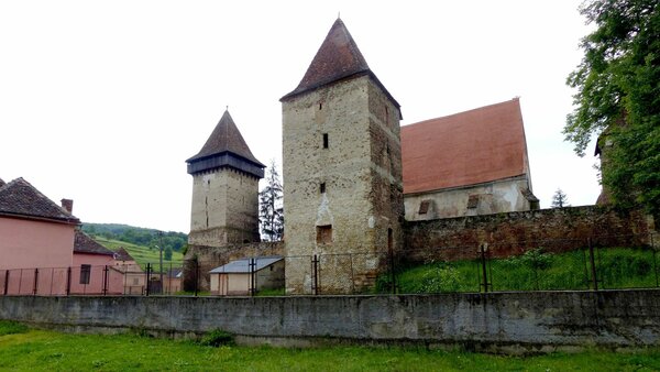 Waldhtten im Jahr 2017