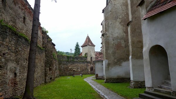 Waldhtten im Jahr 2017