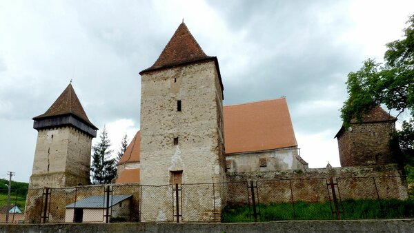 Waldhtten im Jahr 2014