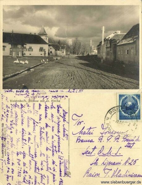 Postkarte mit Weidenbach