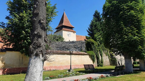 Weidenbach im Jahr 2022