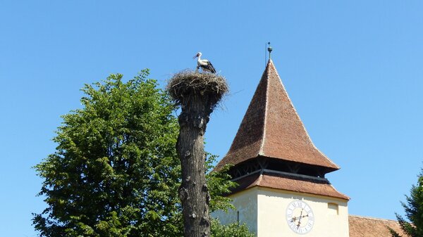 Weidenbach im Jahr 2022