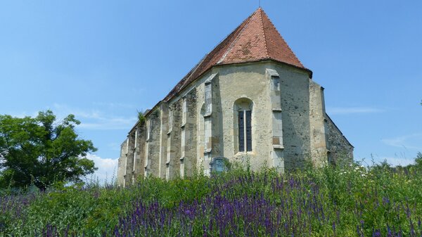 Weingartskirchen im Jahr 2015