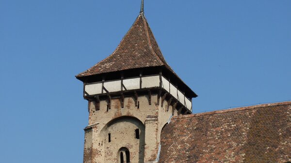 Wurmloch im Jahr 2011