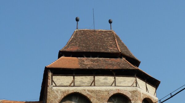 Wurmloch im Jahr 2011