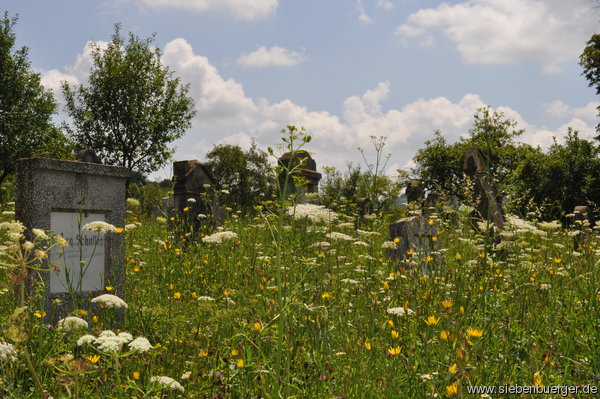 Am Friedhof von Zendersch