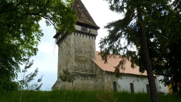 Zied im Jahr 2014