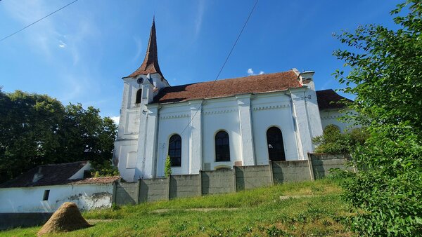 Zuckmantel im Jahr 2022