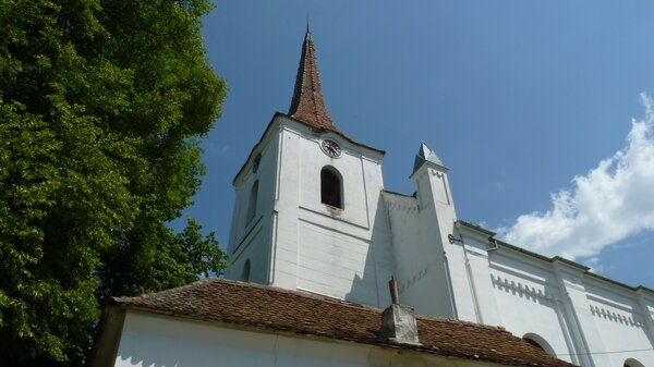 Zuckmantel im Jahr 2014