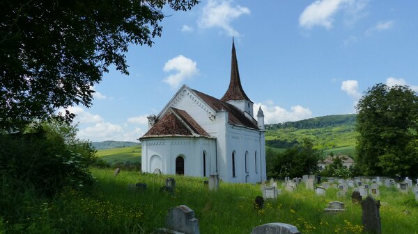Zuckmantel im Jahr 2017
