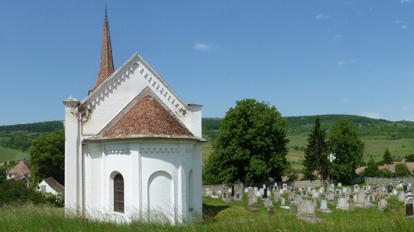 Zuckmantel im Jahr 2014