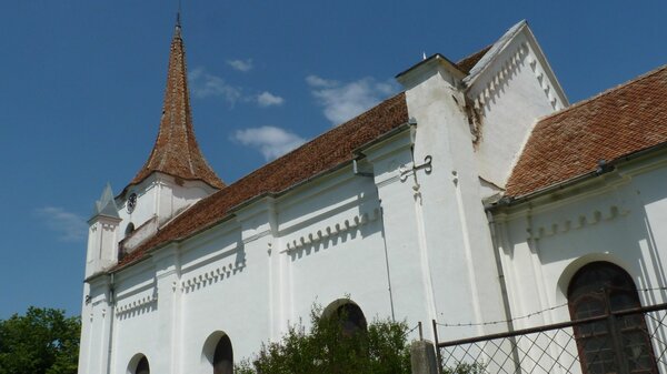 Zuckmantel im Jahr 2014