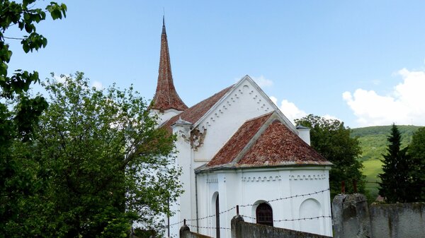 Zuckmantel im Jahr 2017