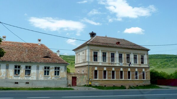 Zuckmantel im Jahr 2014