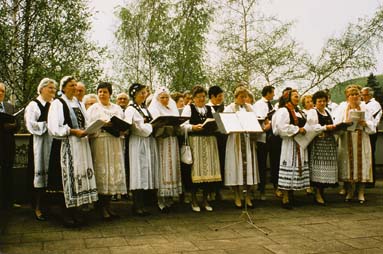 Siebenbrger Sachsen