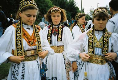 Siebenbrger Sachsen