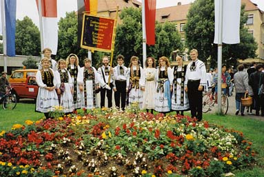 Siebenbrger Sachsen