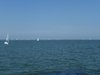Bild Nr. 110