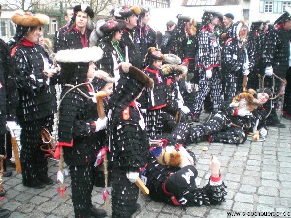 Bild Nr. 38